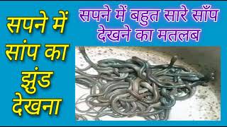 सपने में सांप का झुंड देखना सपने में बहुत सारे साँप देखने का मतलब Seeing group of Snakes in dream [upl. by Jacqueline]