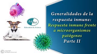 🆘🆕 Generalidades de la respuesta inmune frente a microorganismos patógenos 🦠  Parte 2️⃣ [upl. by Wing386]