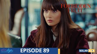 Forbidden Fruit Episode 89  FULL EPISODE  TAGALOG DUB  Turkish Drama [upl. by Corvin]