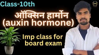 ऑक्सिन हार्मोन  Auxin hormone  Class 10th biology by hardik sir [upl. by Auqenat]