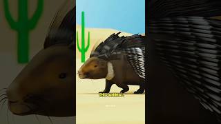 How Porcupine Quills Works trending ytshorts shorts [upl. by Sedgewinn]