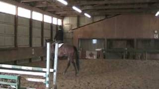 ROCKCLIFFE PARK  10 yo thoroughbred gelding hunter for sale [upl. by Radburn]