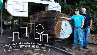 Urban Sawmilling Series Hunski Hardwoods  WoodMizer [upl. by Chrystel127]