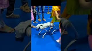 Robot dog nte kude kalikkunna kochumakkal [upl. by Ikkiv319]