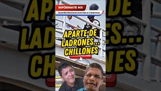 Aparte de ladrones… Chillones 😹guardianacional delincuente mexico [upl. by Ellehs]