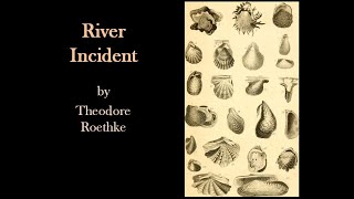 River Incident by Theodore Roethke [upl. by Hako366]