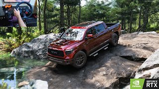 Toyota Tundra Extreme OFFROAD  Forza Horizon 5  Steering Wheel  Shifter Gameplay [upl. by Leinadnhoj]