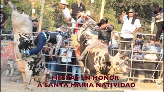 JARIPEO EN HONOR A LA VIRGEN MARIA NATIVIDAD EN MOLALLA OREGON 2024 [upl. by Ahseim]