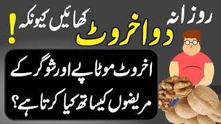 Benefits Of Eating Walnut Akhrot Khane Ke Fayde Urdu Hindi  Urdu Lab [upl. by Troc]