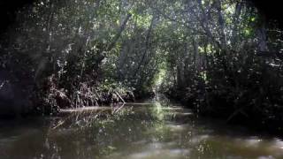 Los canales de la Parguera Lajas Puerto Rico [upl. by Damalus]