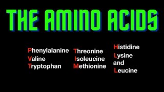 USMLE Step 1  Lesson 62  The amino acids [upl. by Baptist281]