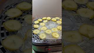 OSTBA Food Dehydrator Machine [upl. by Accissej]