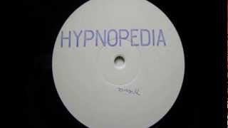 Hypnopedia  Pylorus Acidtrance 1995 [upl. by Atsahs177]