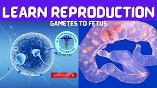 The Miracle of Life From Gametes to Fetus with GNP Sir [upl. by Axia]