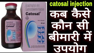 Catosal injection uses in hindi कटसल इंजेक्शन का उपयोग [upl. by Ennybor]