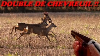 DOUBLE DE CHEVREUIL   Chasse en Bretagne [upl. by Amado]