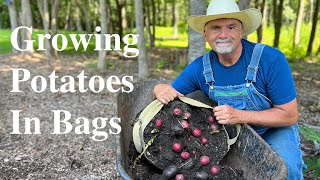 Planting Potatoes in Growbags [upl. by Koal18]