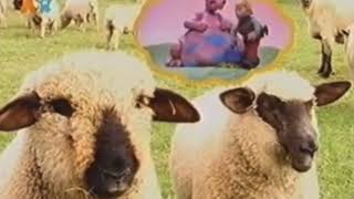 Nick Jr Sheep’s Astro Farm Coming Up Next UK [upl. by Tate867]