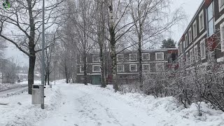 Walking In The White Snow In Finland [upl. by Oika]