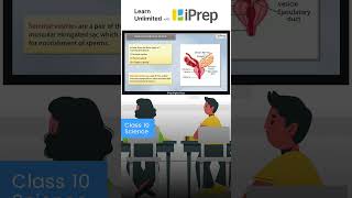 Seminal Vesicles  How Do Organisms Reproduce  Science  Class 10  iPrep iprep learningapp [upl. by Llerrahs]