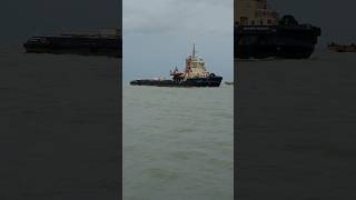 Tug Svitzer Foxtort😯😱 shipinstrom shortvideo shortsviral shorts shortsyoutube shortsfeed ship [upl. by Cid]