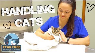 How To Handle Stressed amp Aggressive Cats At The Vet [upl. by Leuqer501]