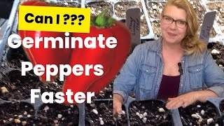 Starting Pepper Seeds FASTER [upl. by Haleigh81]