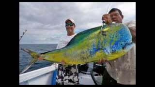 Worlds Biggest Dorado Mahi Mahi Ever Caught [upl. by Ornas]