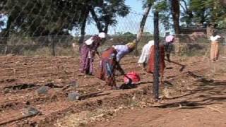 Sex workers become farm workers in Zimbabwe [upl. by Heyward]