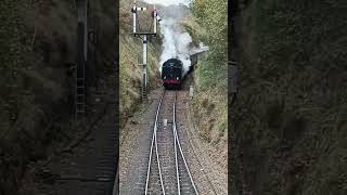 Class 40 40106 Atlantic Conveyer With A Steamer [upl. by Dedrick]