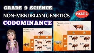 NONMENDELIAN GENETICS CODOMINANCE  GRADE 9 SCIENCE  BIOLOGY [upl. by Graniela]