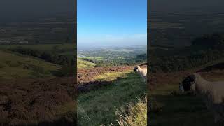 Pentland Hills 🏴󠁧󠁢󠁳󠁣󠁴󠁿 Regional Park near Edinburgh  Scotland scotland discoverscotland [upl. by Chelsie718]