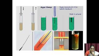 Maintenance and Preservation of Organisms  VHNSNCollege Autonomous [upl. by Idnod]