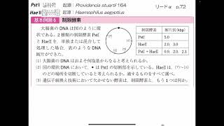 演習動画 生物；リードα 基本例題6 制限酵素 [upl. by Muhan]