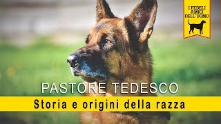 Pastore Tedesco  Storia e Origine della razza [upl. by Htaek]