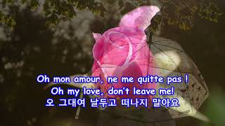 Les parapluies de CherbourgThe Umbrellas of Cherbourg  Nana Mouskouri with Lyrics가사번역쉘부르의 우산 [upl. by Kina]