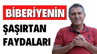 BİBERİYE ÇAYININ FAYDALARI I ROSMARİN BİBERİYE NEYE İYİ GELİR ÇAYI NASIL DEMLENİR [upl. by Nylrebmik]