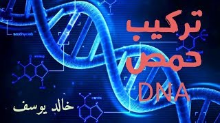 تركيب حمض DNA [upl. by Carlynne]