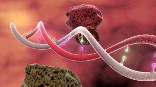 DNA Mutation 3D Animation [upl. by Varini643]