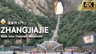 Tianmen Mountain Zhangjiajie Hunan🇨🇳 The Most Amazing Mountain in China 4K HDR [upl. by Annelise]