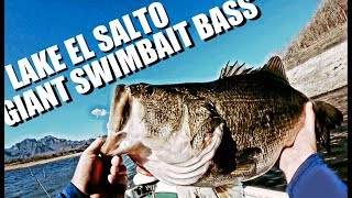 Fishing BIG Swimbaits for GIANT Lake El Salto BASS  Ep 4 [upl. by Ledoux]