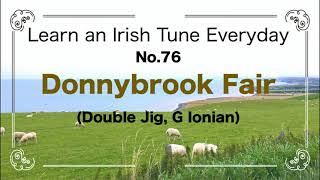 076 Donnybrook Fair Double Jig G Ionian [upl. by Mokas]