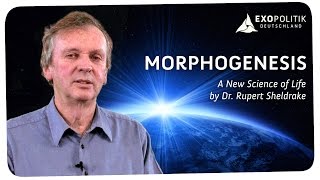 Rupert Sheldrake Morphogenesis  A New Science of Life [upl. by Safir636]