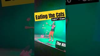 The Kiffness  Eating the Cats Donald Trump Remix live  Live Music Hall  Köln 19092024 [upl. by Eadrahc]