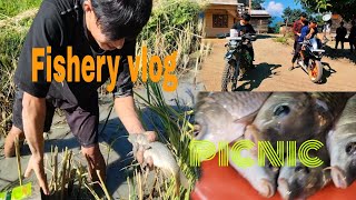 visiting fishery pond 🐠🐟 Fishery vlog fishingvideo viralvideo ordinaryvillageboy [upl. by Asaret338]