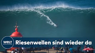 MONSTERWELLEN SURFEN Im portugiesischen Nazaré trifft sich die Elite der Extremsurfer [upl. by Cand]