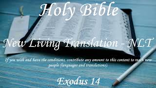 English Audio Bible  Exodus 14  New Living Translation NLT [upl. by Xantha]