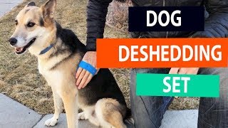 How To Deshed A Dog  BEST Tools for Shedding [upl. by Oicanata339]