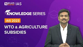 WTO and Agriculture Subsidies Explained  Agreement on Agriculture  UPSC Prelims amp Mains 202223 [upl. by Ailiec]