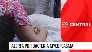 Mycoplasma brote de bacteria que afecta principalmente a niños  24 Horas TVN Chile [upl. by Grete]